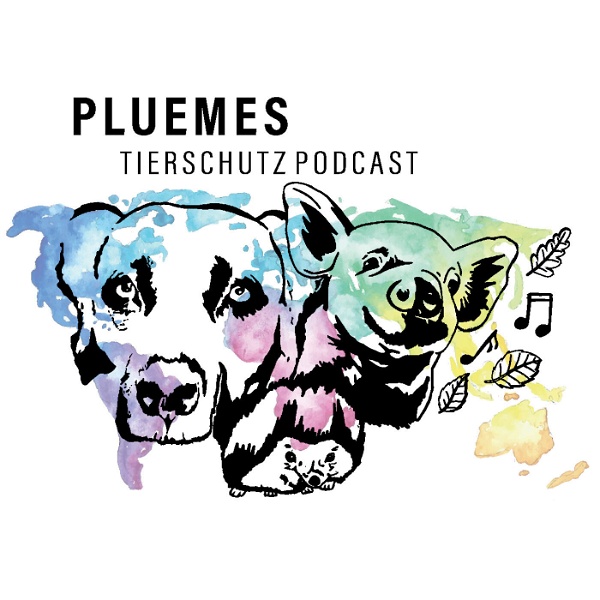 Artwork for PLUEMES Dein Tierschutz Podcast