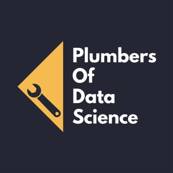 Artwork for Plumbers of Data Science