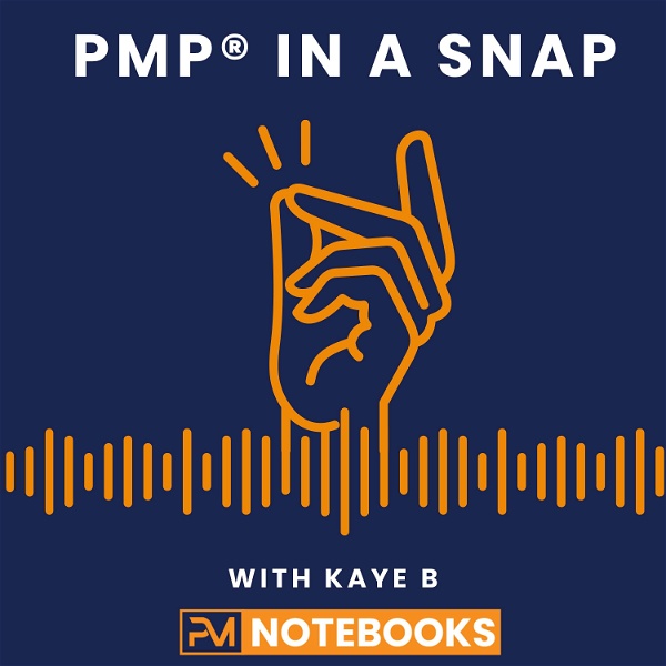 Artwork for PMP in a Snap