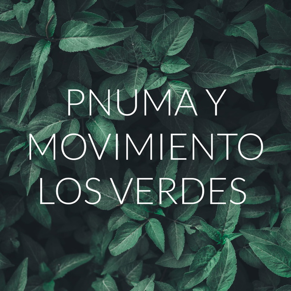 Artwork for PNUMA Y MOVIMIENTO LOS VERDES