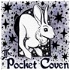 The Pocket Coven