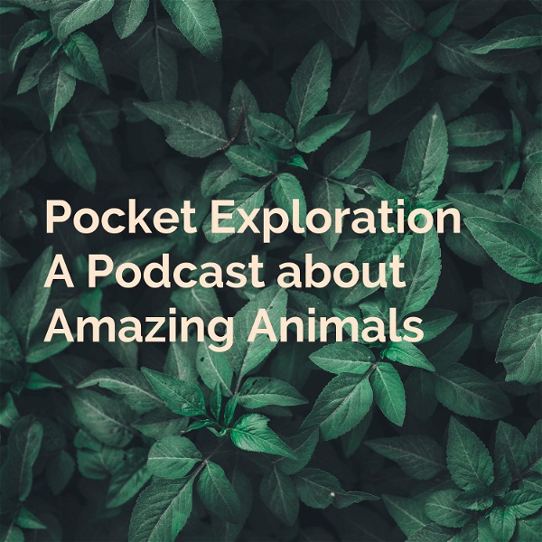 Artwork for Pocket Exploration: A Podcast about Amazing Animals