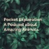 Pocket Exploration: A Podcast about Amazing Animals