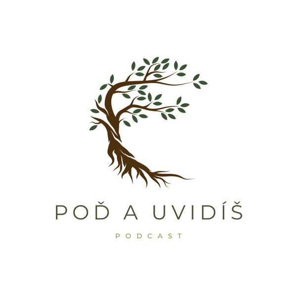 Artwork for Poď a uvidíš