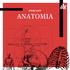 POD ANATOMIA