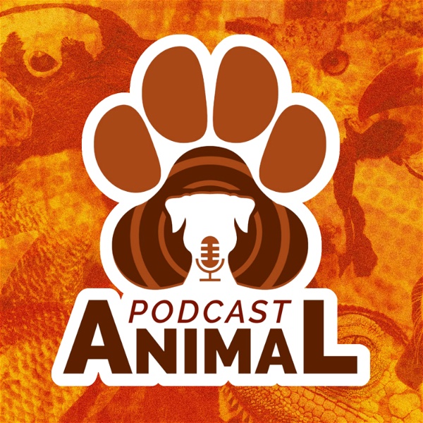 Artwork for Podcast Animal