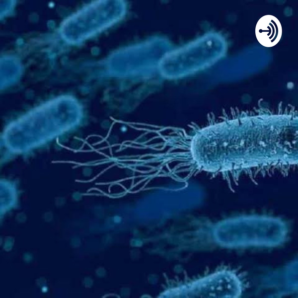 Artwork for Podcast de bio