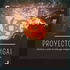 Proyecto Ikigai