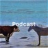 Podcast - Desafíos Mundiales