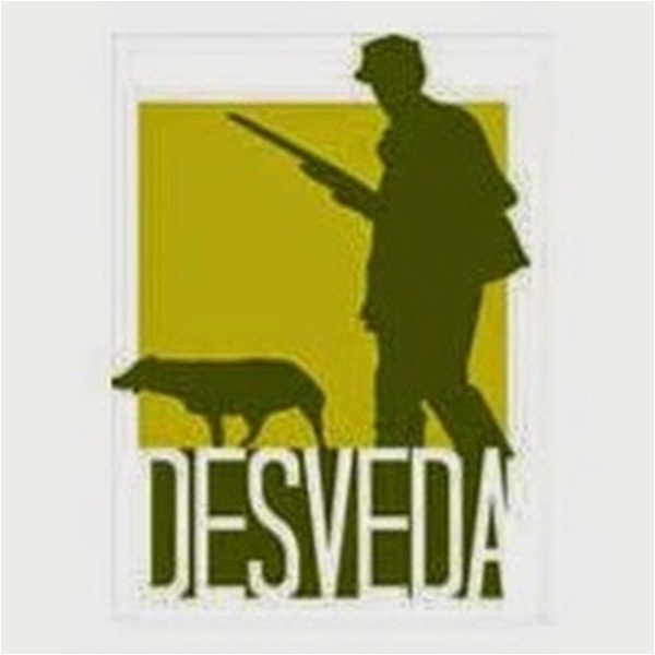 Artwork for Podcast DESVEDA