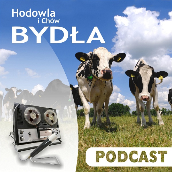 Artwork for Podcast HiChB – Hodowla i Chów Bydła