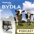 Podcast HiChB – Hodowla i Chów Bydła