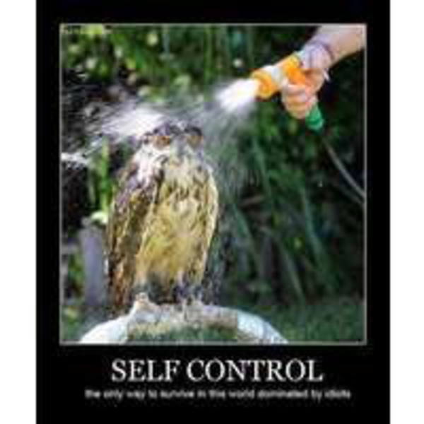 Artwork for Podcast Intentos de Set