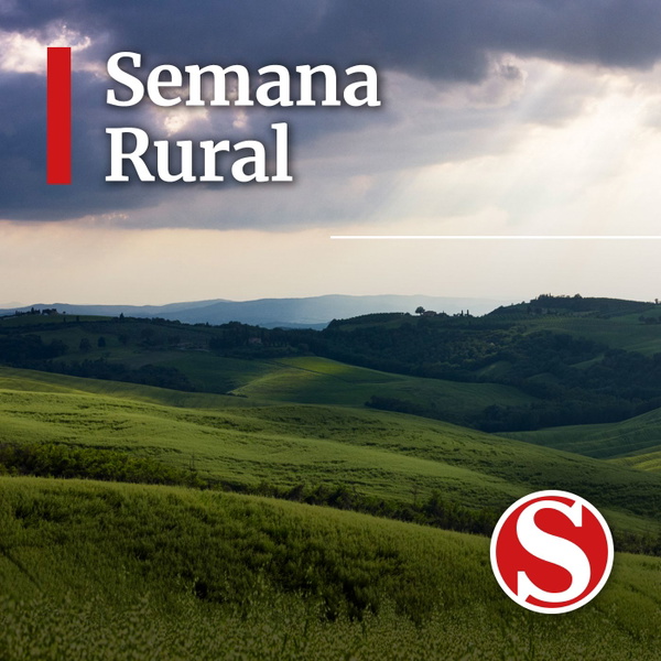 Artwork for Pódcast Semana Rural