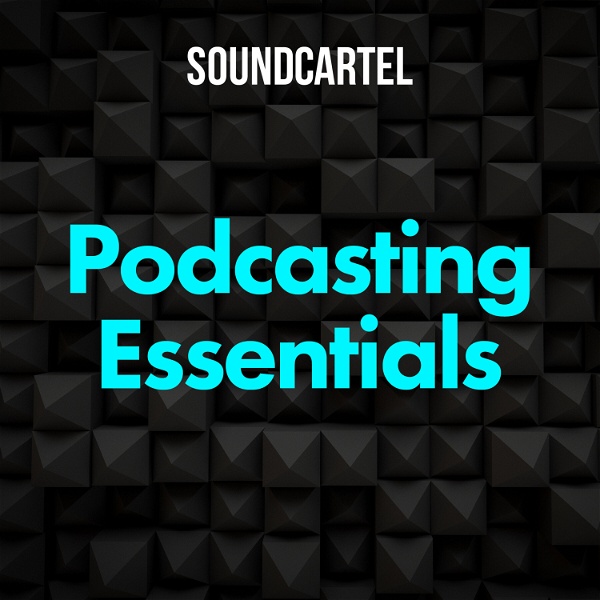 Artwork for Podcasting Essentials