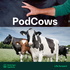 PodCows (SE)