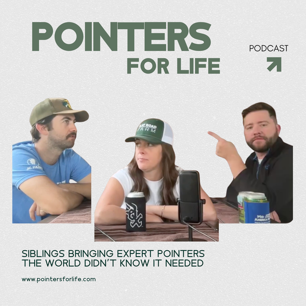 Artwork for Pointers for Life