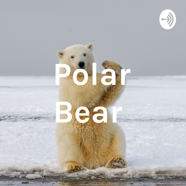 Artwork for Polar Bear