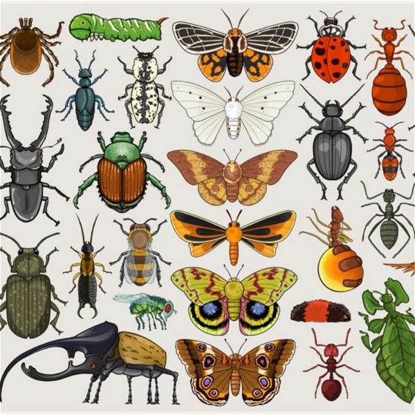 Artwork for Entomologia Médica