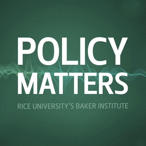 Artwork for Policy Matters