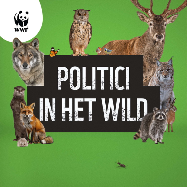 Artwork for Politici in het Wild