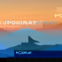 Polkuporinat
