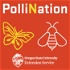 PolliNation Podcast