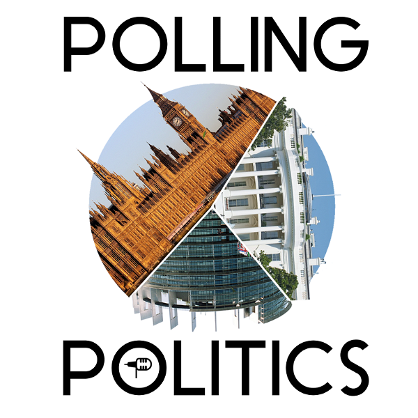 Artwork for Polling Politics