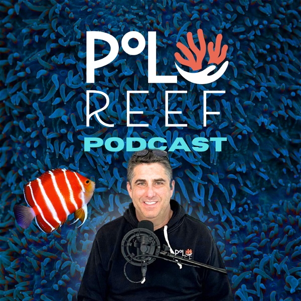Artwork for Polo Reef the Podcast