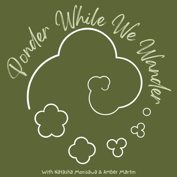 Artwork for Ponder While We Wander