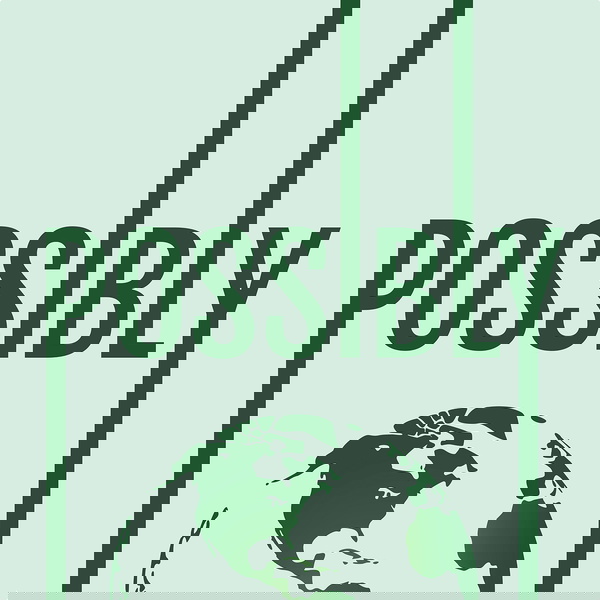 Artwork for Possibly Podcast