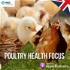 Poultry Health Focus