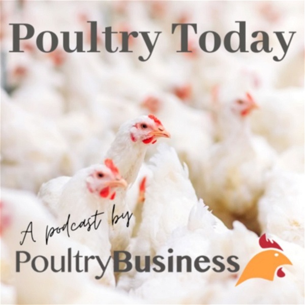 Artwork for Poultry Today