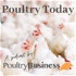 Poultry Today