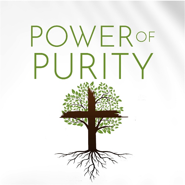 Artwork for Power of Purity