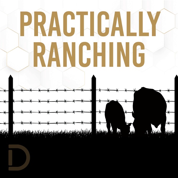 Artwork for Practically Ranching