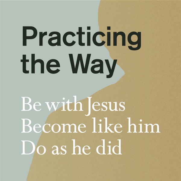 Artwork for Practicing the Way