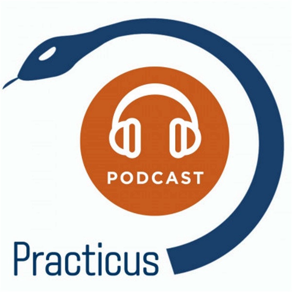 Artwork for Practicus Podcast