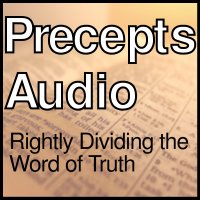 Artwork for Precepts Audio