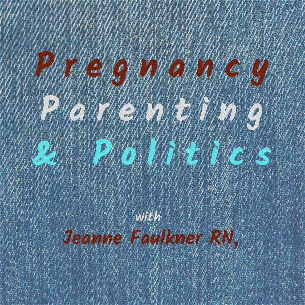 Artwork for Pregnancy, Parenting & Politics