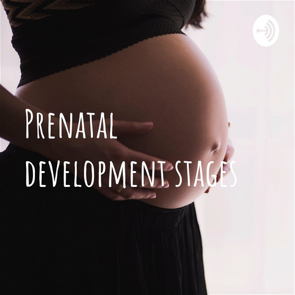 Artwork for Prenatal development stages