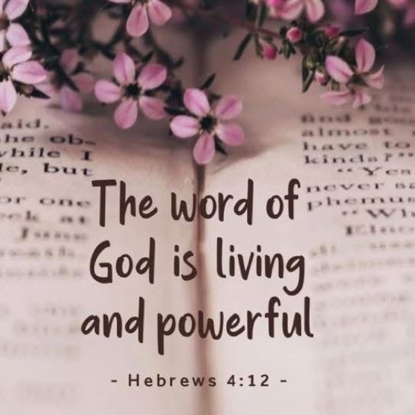 Artwork for GOD’s WORD IS GOD’s WORD