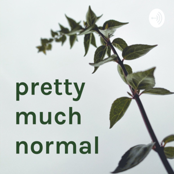 Artwork for pretty much normal