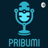 Pribumi