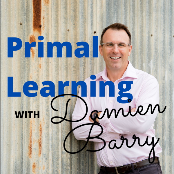 Artwork for Primal Learning
