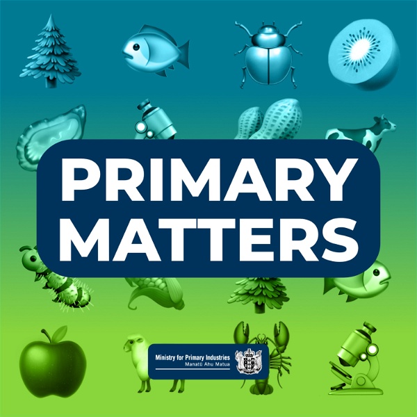 Artwork for Primary Matters