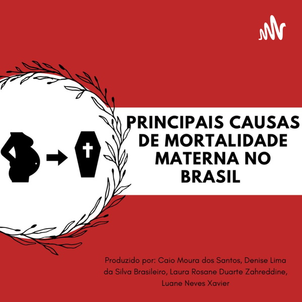 Artwork for Principais Causas De Mortalidade Materna No Brasil