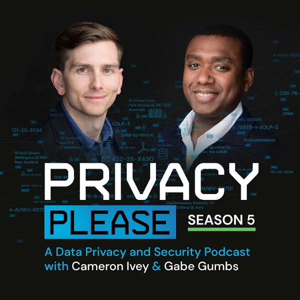 Artwork for Privacy Please