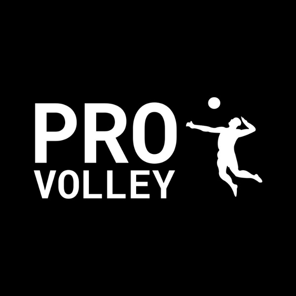 Artwork for Pro Volley