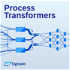 Process Transformers